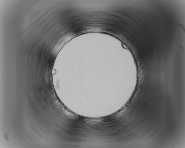 X0000103941337200810311516