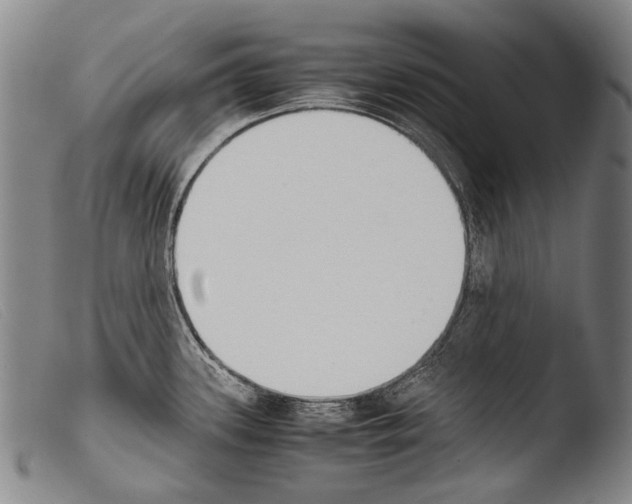 X0000103941339200810311516