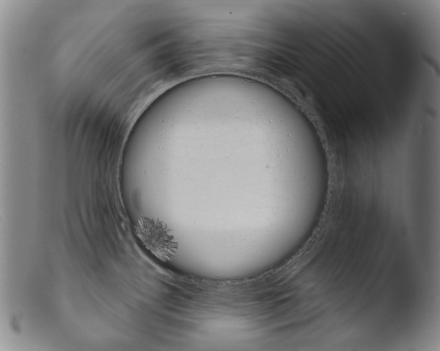 X0000103941340200810311516