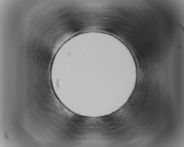 X0000103941341200810311516