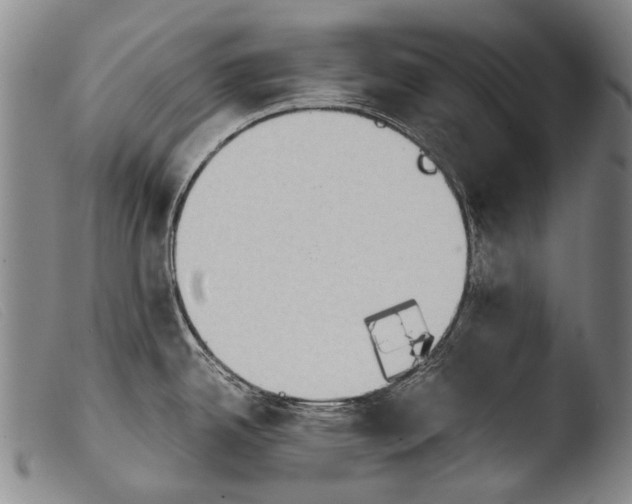 X0000103941342200810311516