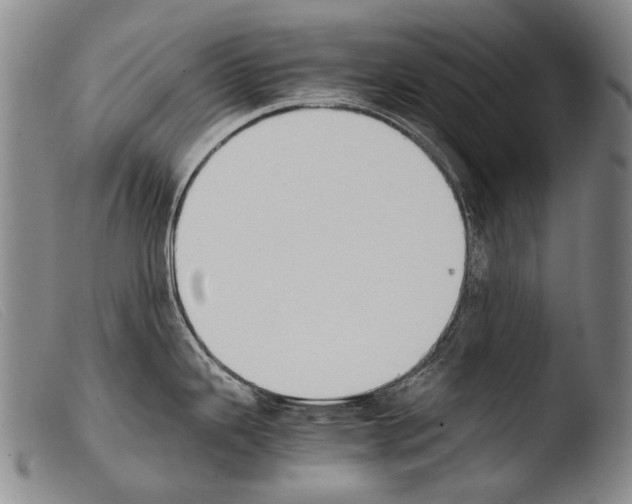 X0000103941343200810311516