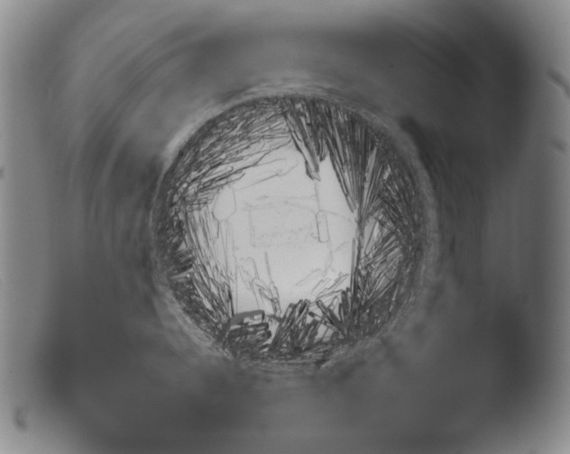 X0000103941344200810311516