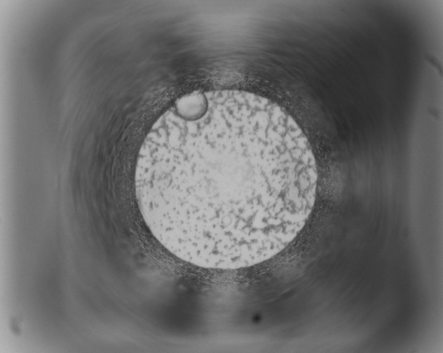 X0000103941345200810311516