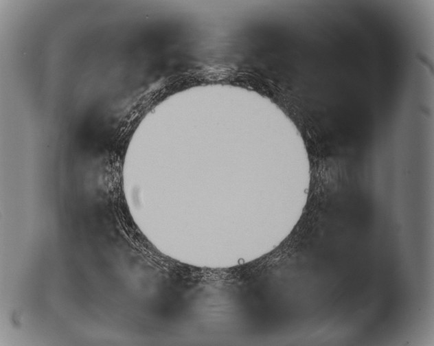 X0000103941349200810311516