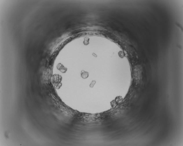 X0000103941352200810311516