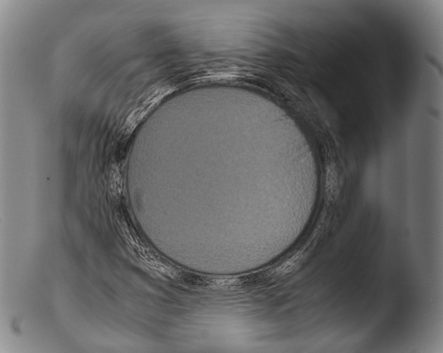 X0000103941353200810311516