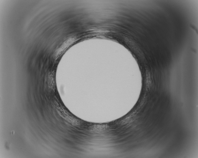 X0000103941354200810311515