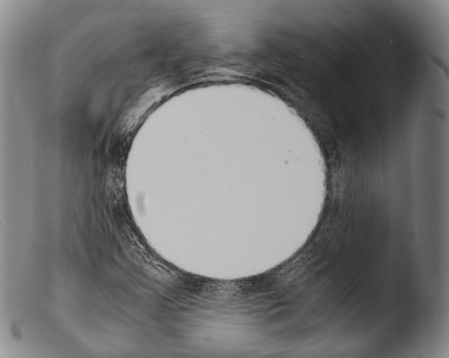 X0000103941355200810311515