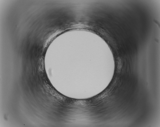 X0000103941358200810311515