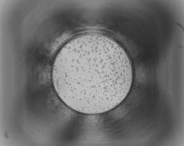 X0000103941360200810311515