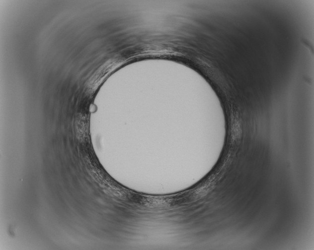 X0000103941361200810311515