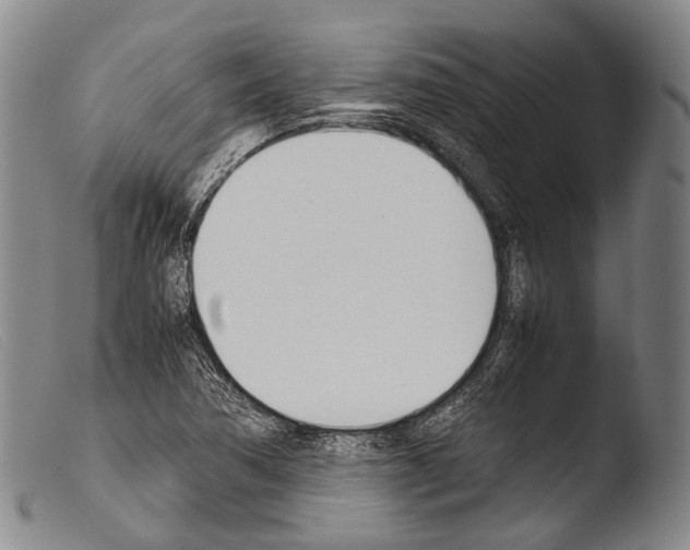 X0000103941362200810311515