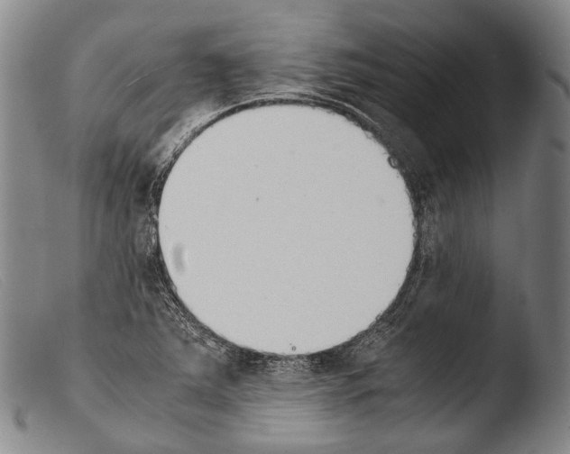 X0000103941363200810311515