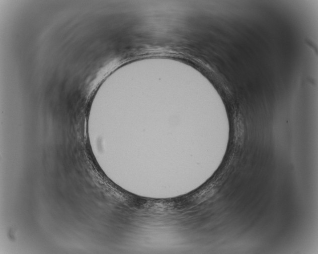 X0000103941365200810311515