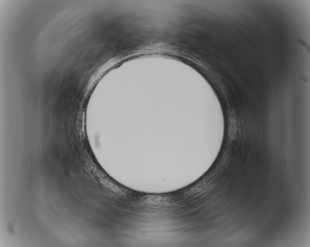 X0000103941366200810311515