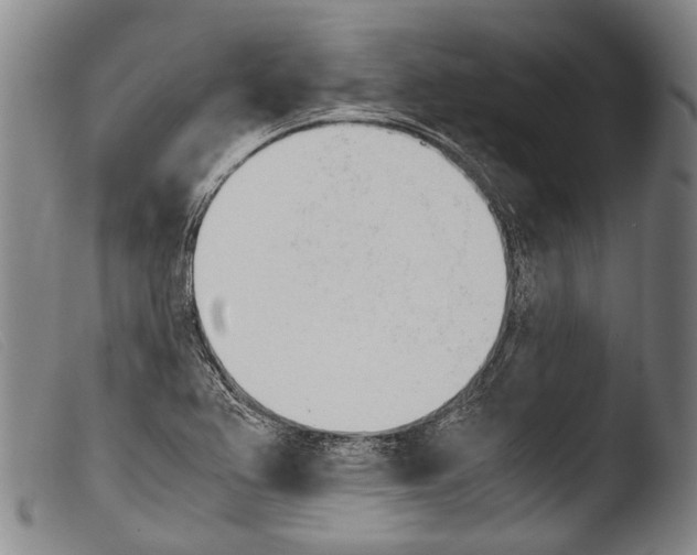 X0000103941367200810311515