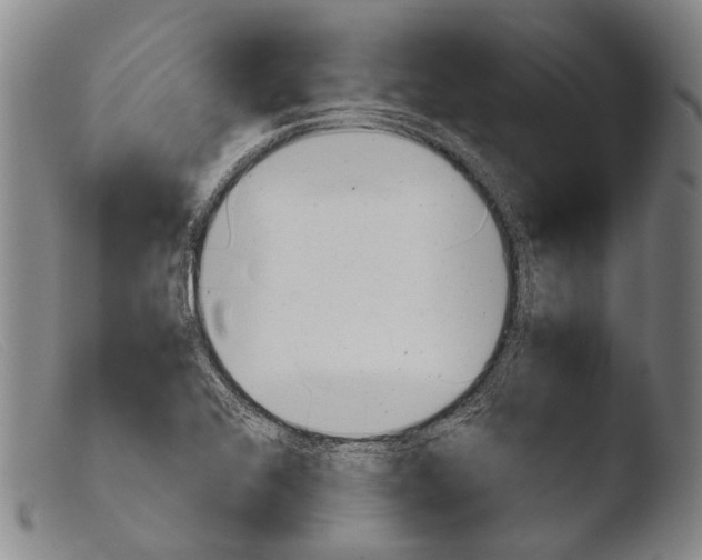 X0000103941368200810311515