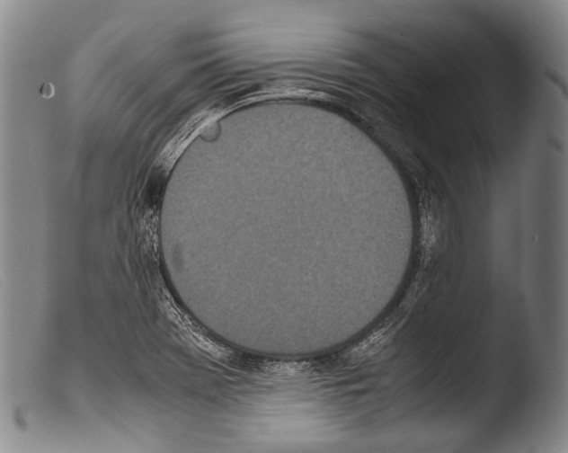 X0000103941369200810311515