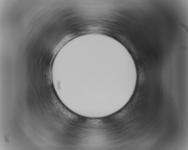 X0000103941370200810311515