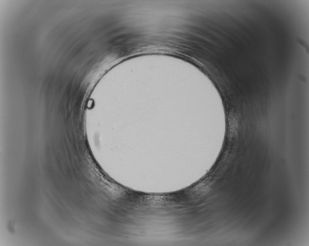 X0000103941371200810311515