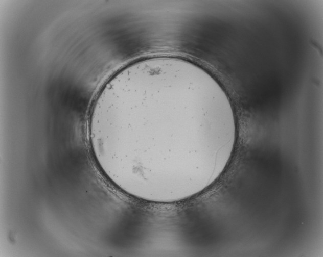 X0000103941372200810311515