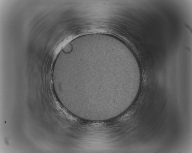 X0000103941373200810311515