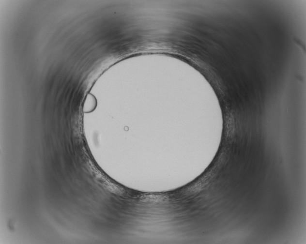 X0000103941374200810311515