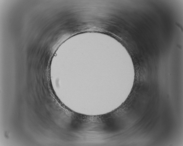 X0000103941375200810311515