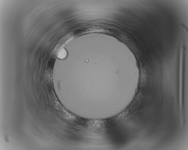 X0000103941377200810311515