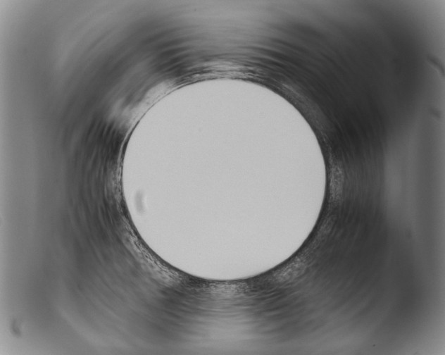 X0000103941378200810311515