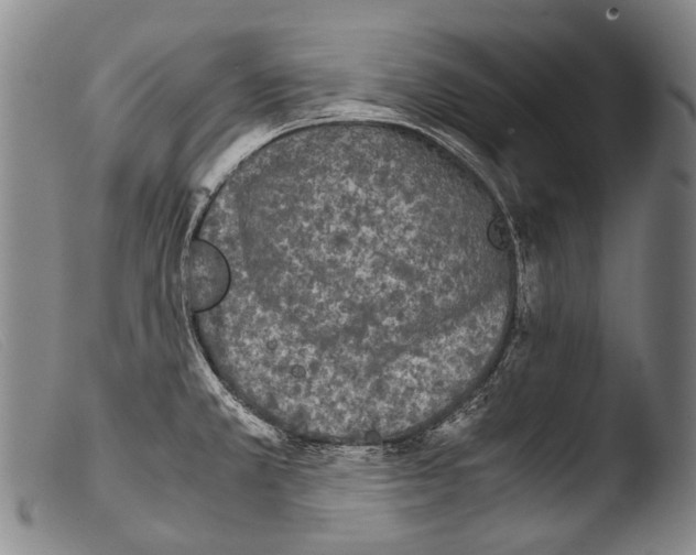 X0000103941381200810311515