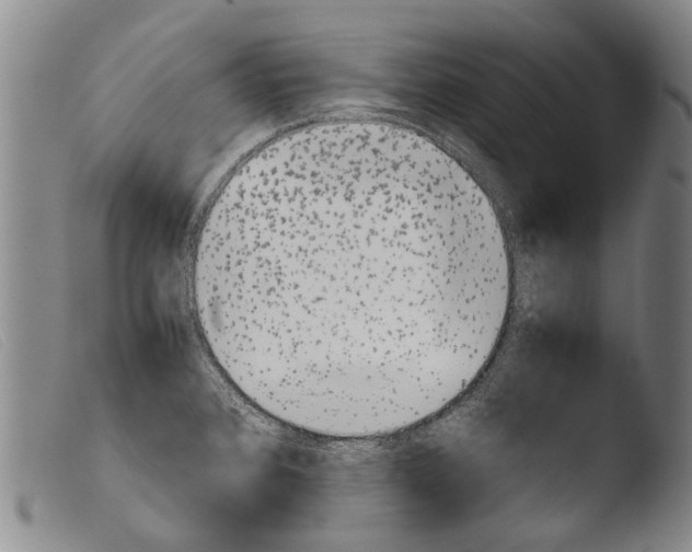 X0000103941384200810311515