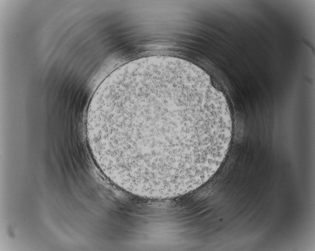 X0000103941386200810311515