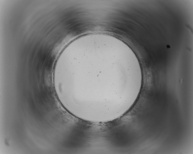 X0000103941388200810311515