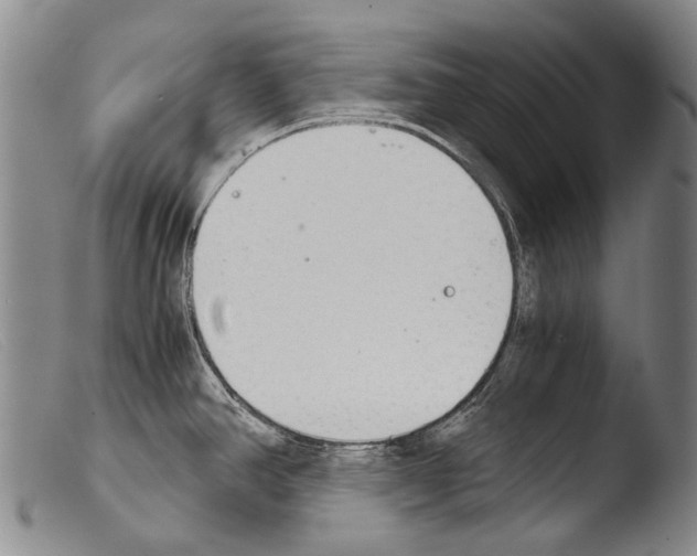 X0000103941390200810311515