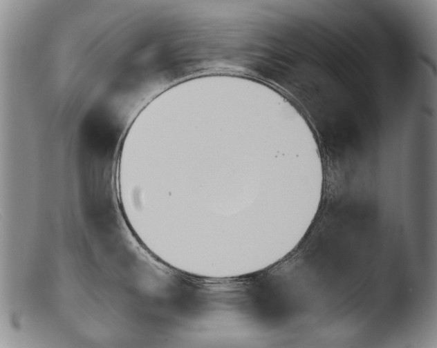 X0000103941391200810311515