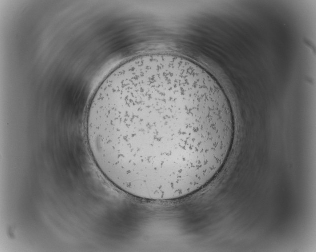 X0000103941392200810311515