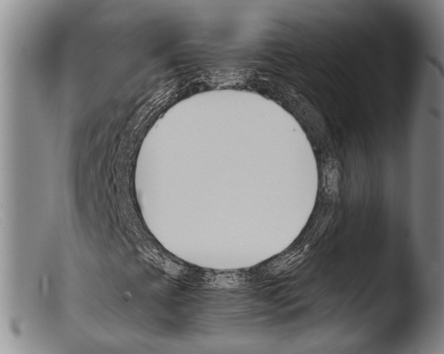 X0000103941393200810311514