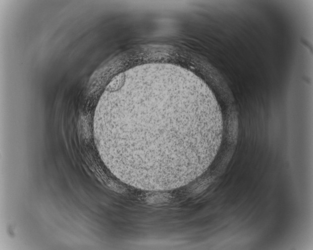 X0000103941394200810311514