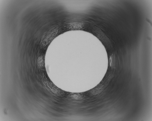 X0000103941395200810311514