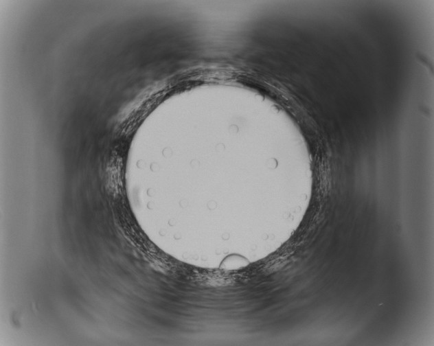 X0000103941399200810311514