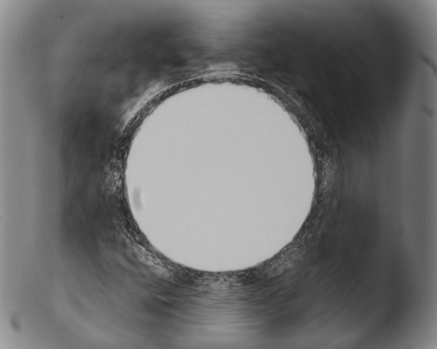 X0000103941400200810311514