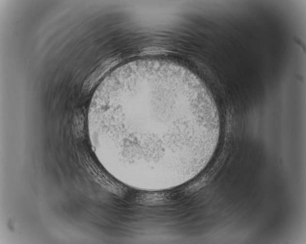 X0000103941401200810311514