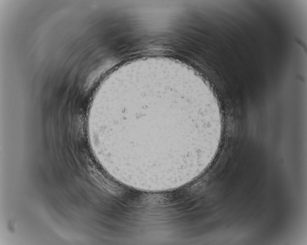 X0000103941402200810311514