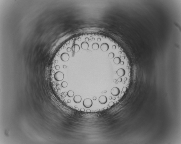 X0000103941404200810311514