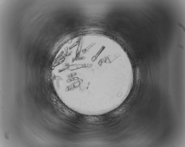 X0000103941405200810311514