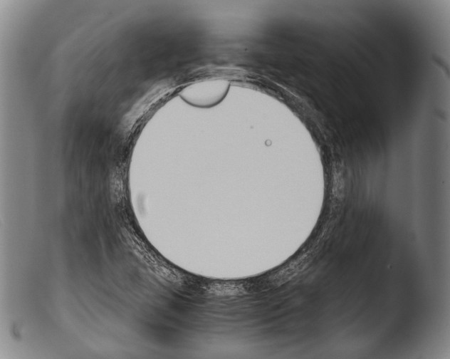 X0000103941407200810311514