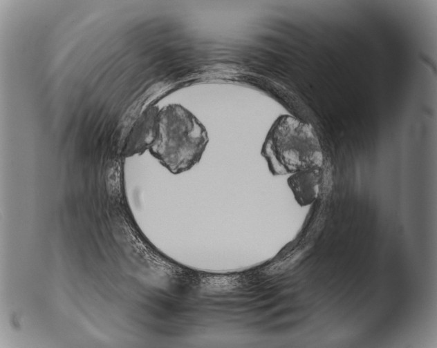 X0000103941409200810311514