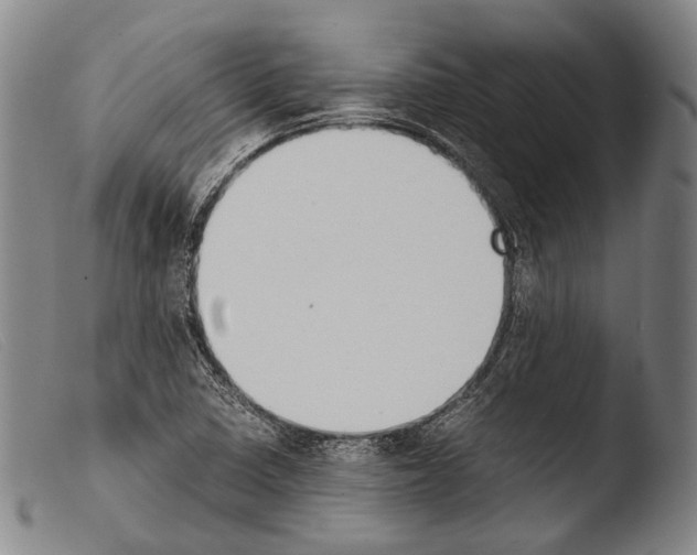 X0000103941410200810311515